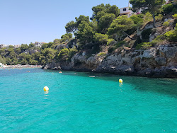 Cala Pi Plajı'in fotoğrafı ve yerleşim