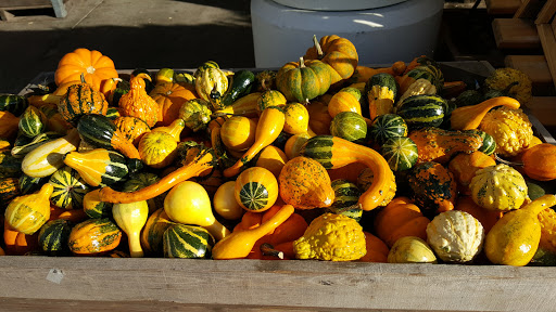 Supermarket «Best Market West Babylon», reviews and photos, 725 Sunrise Hwy, West Babylon, NY 11704, USA