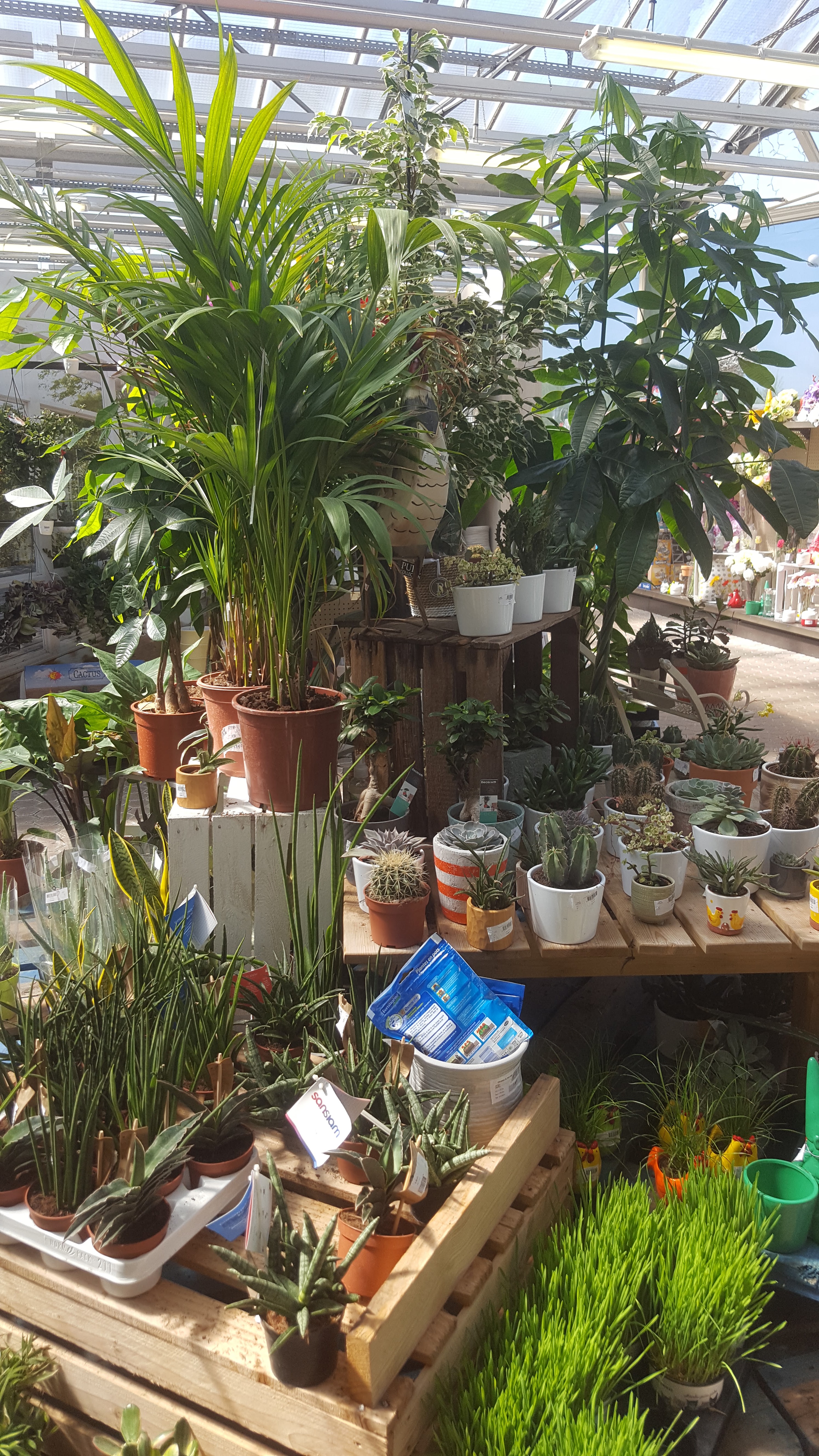 Photo n° 12 de l'avis de Cathie.a fait le 22/04/2018 à 06:06