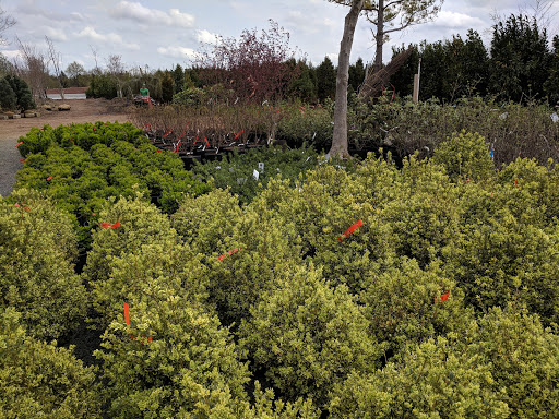 Lawn Mower Store «Central Jersey Nurseries Mower», reviews and photos, 18 Hamilton Rd, Hillsborough Township, NJ 08844, USA