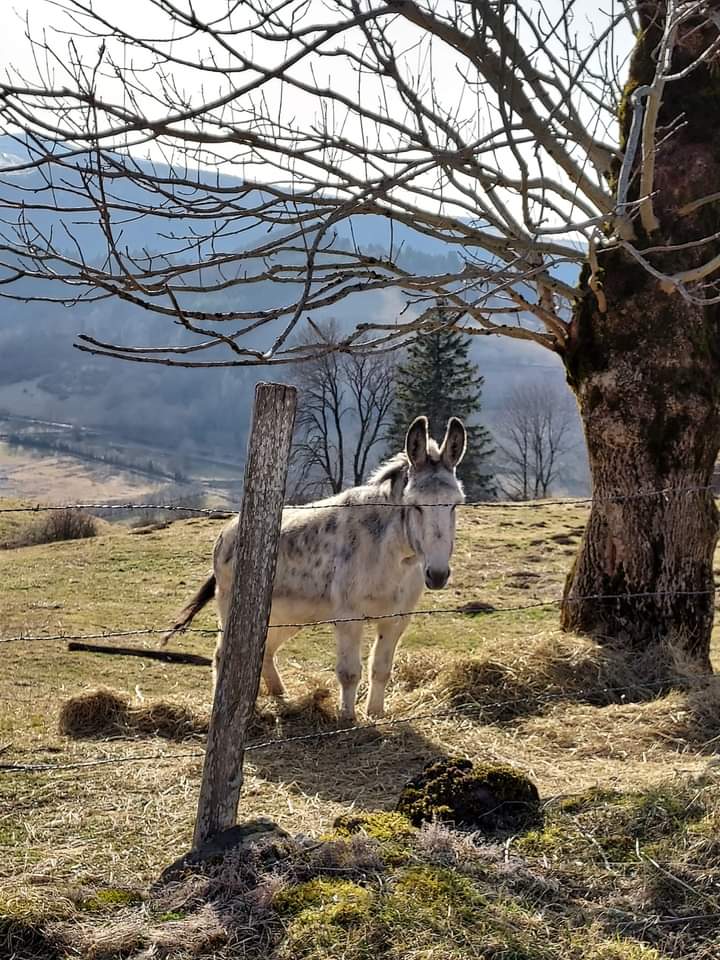 Photo n° 4 de l'avis de THESIE.E fait le 05/03/2022 à 21:17