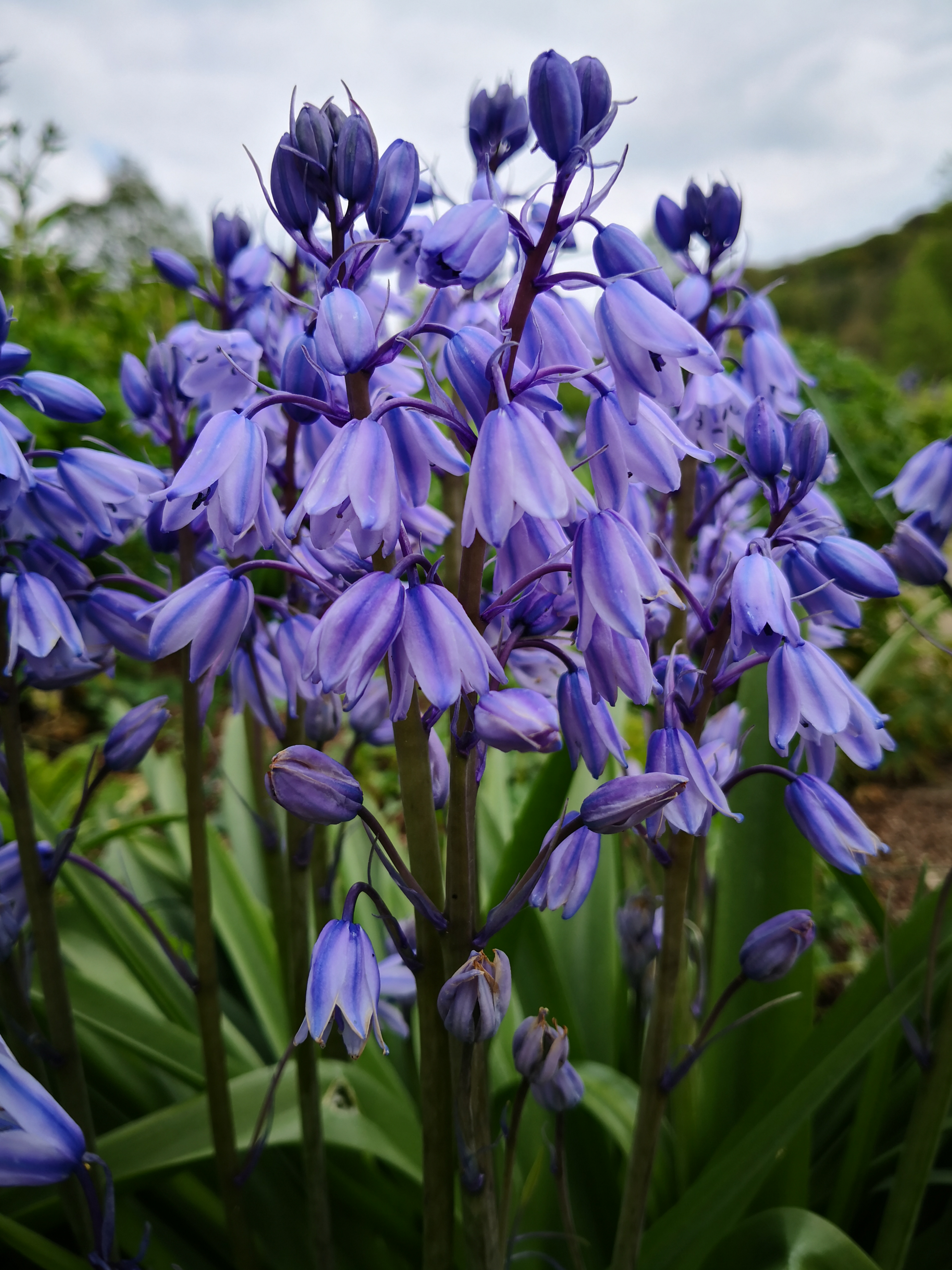 Photo n° 23 de l'avis de Mélanie. fait le 02/05/2019 à 08:22