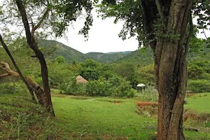Nilgiri Biosphere Nature Park - Registered Office image