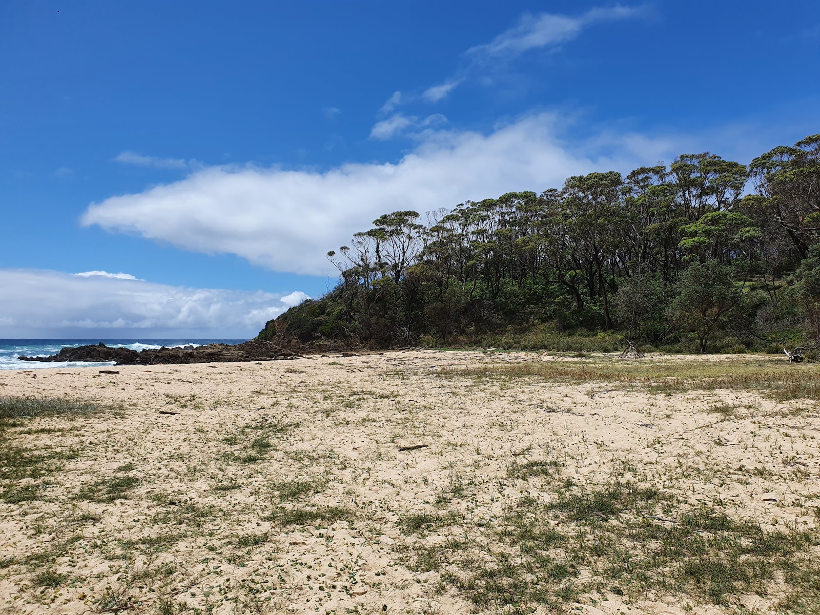 Photo de Barragga Bay Beach zone sauvage