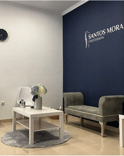 SANTOS MORA FISIOTERAPIA - Clínica de Fisioterapia en Tomelloso en Tomelloso, Ciudad Real