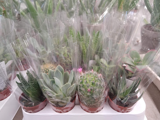 Supermarket «ALDI», reviews and photos, 15080 Summit Ave, Fontana, CA 92336, USA