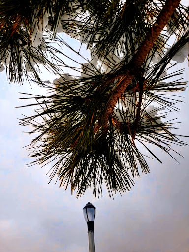 Park «Bensonhurst Park», reviews and photos, Cropsey Ave, Brooklyn, NY 11214, USA