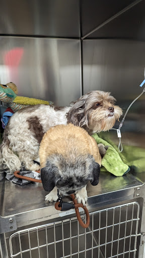 Kanawha Valley Veterinary Emergency Hospital image