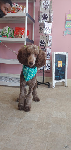 Pet Groomer «Furry Tails Pet Grooming», reviews and photos, 865 Cypress Pkwy, Poinciana, FL 34759, USA