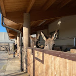 Photo n°3 de l'avis de alice.v fait le 12/12/2021 à 21:35 sur le  Il Colmetto | Ristorante in Franciacorta à Rodengo-Saiano