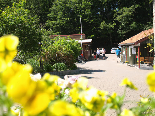 Kommentarer og anmeldelser af Randbøldal Camping