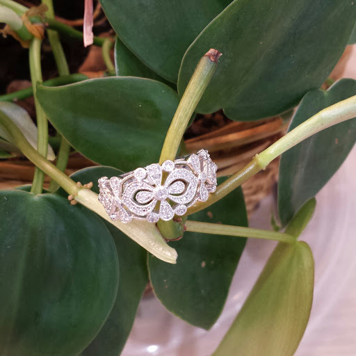 Jewelry Store «Lustig Jewelers», reviews and photos, 281 W Townline Rd, Vernon Hills, IL 60061, USA