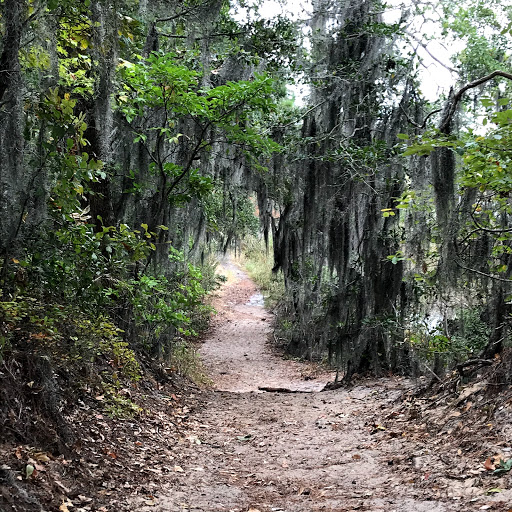 Long Creek Trail