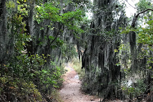 Long Creek Trail