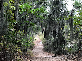 Long Creek Trail