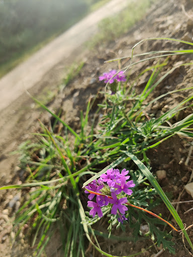 Park «Bamberger Nature Park», reviews and photos, 12401 Babcock Rd, San Antonio, TX 78249, USA