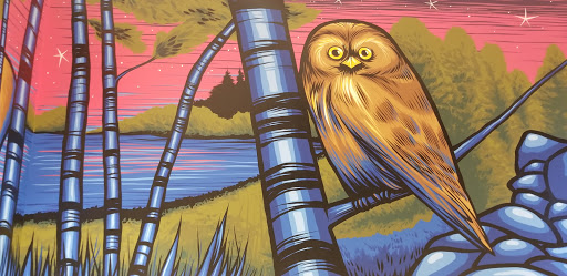 Department Store «JCPenney», reviews and photos, 1700 W County Rd B-2, Roseville, MN 55113, USA