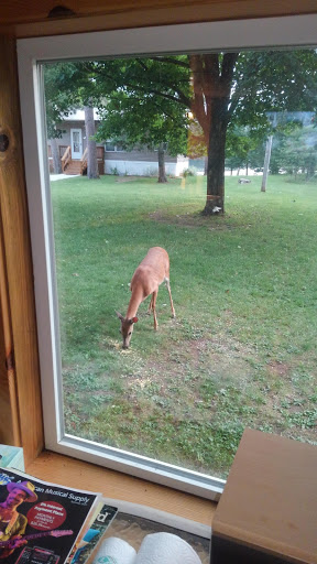 Club «Norwood Pines Supper Club», reviews and photos, 10171 WI-70, Minocqua, WI 54548, USA