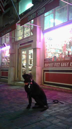 Candy Store «Rocket Fizz Nashville», reviews and photos, 201 2nd Ave N, Nashville, TN 37201, USA