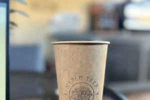 Maple Tree Coffee image