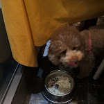 Photo n°3 de l'avis de Maria.a fait le 28/02/2020 à 14:38 sur le  Donna Titina à Milan