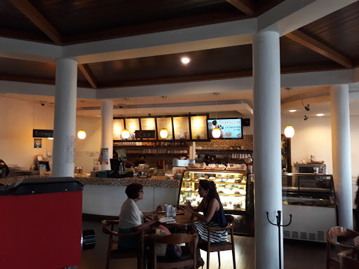 Cafeterias bonitas en León