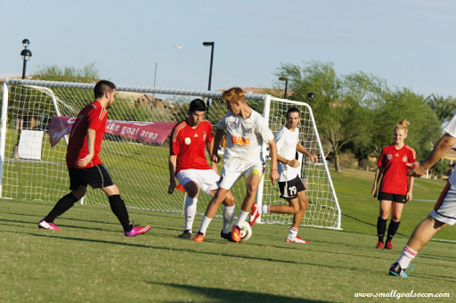 Small Goal Soccer