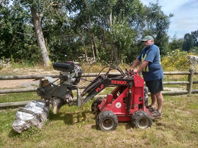 Marty's Dingo - Earth Moving & Stump Grinding