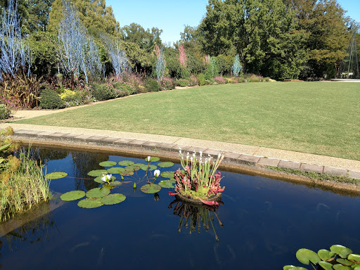 Botanical Garden «Atlanta Botanical Garden», reviews and photos, 1345 Piedmont Ave NE, Atlanta, GA 30309, USA