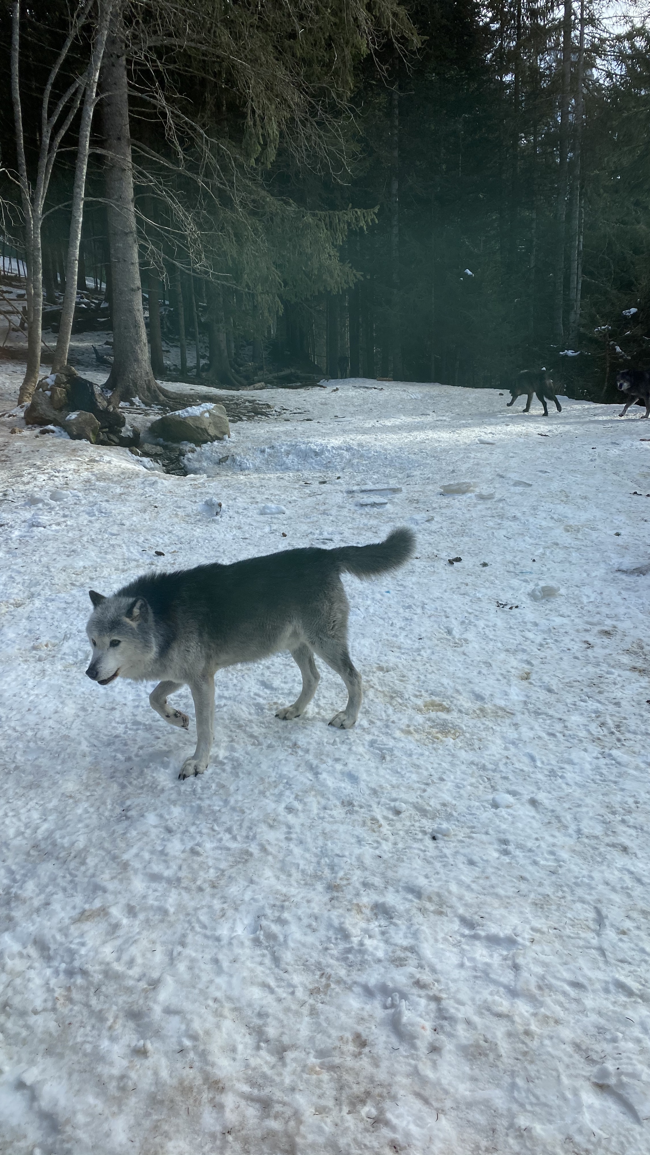 Photo n° 2 de l'avis de ANDRIEUX-GAJERO.a fait le 25/01/2020 à 14:11
