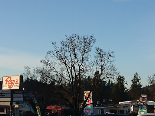 Grocery Store «Rays Food Place», reviews and photos, 875 Redwood Dr, Garberville, CA 95542, USA