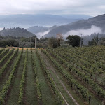 Photo n°1 de l'avis de Pamela.o fait le 28/09/2019 à 07:35 sur le  The Estate Of Petroio, Tuscany à Pontassieve