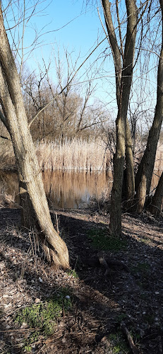 Szélmezei Tőzegtavak - Mezőlak