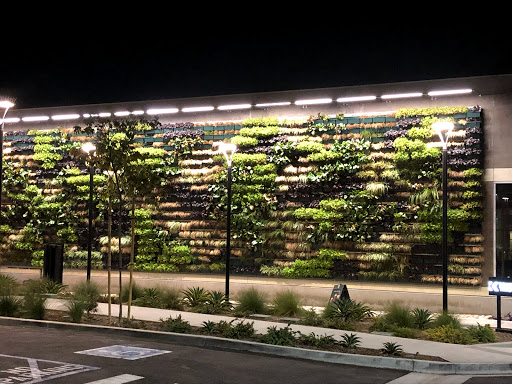 Starbucks image