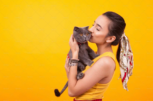 Auto Insurance Agency «Safe Street Insurance», reviews and photos