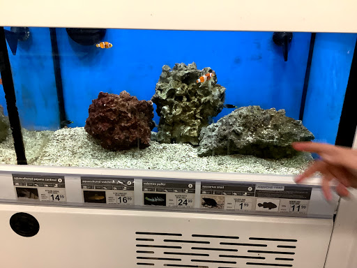 Pet Supply Store «Petco Animal Supplies», reviews and photos, 4913 Main St, Spring Hill, TN 37174, USA