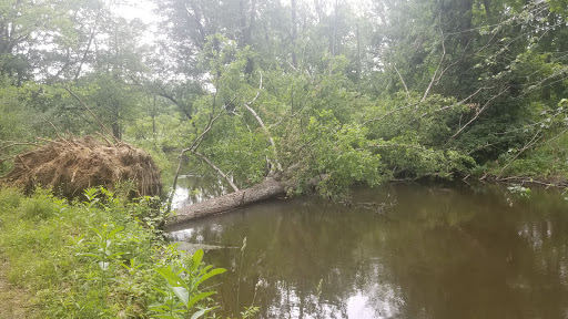 Nature Preserve «Leonard Preserve», reviews and photos, N Union St, Manchester, MI 48158, USA