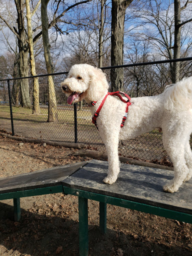Dog Park «Brookdale Dog Park», reviews and photos, W Circuit Dr, Montclair, NJ 07043, USA