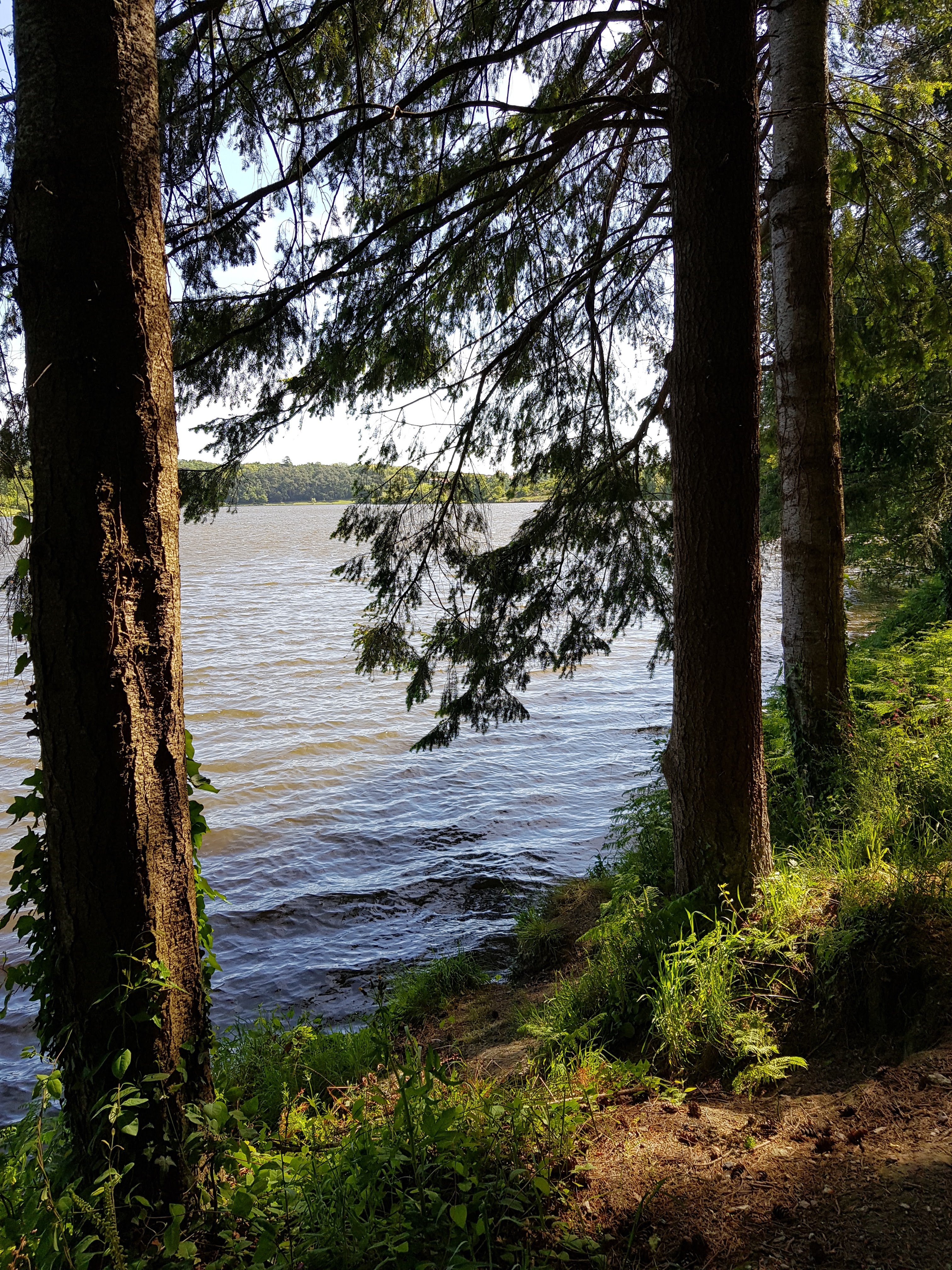 Photo n° 3 de l'avis de Marie.l fait le 17/05/2019 à 18:58