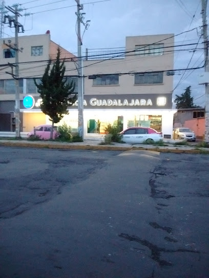 Farmacia Guadalajara Tlaltenco