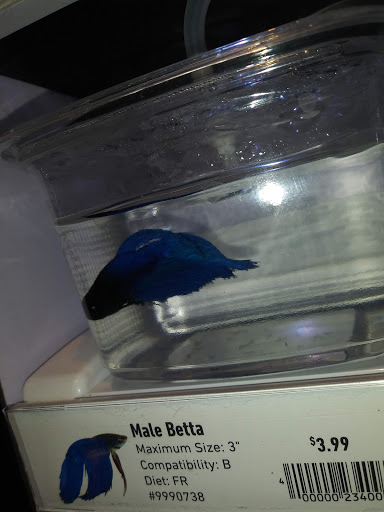 Pet Supply Store «Pet Valu», reviews and photos, 3437 Center Rd, Brunswick, OH 44212, USA