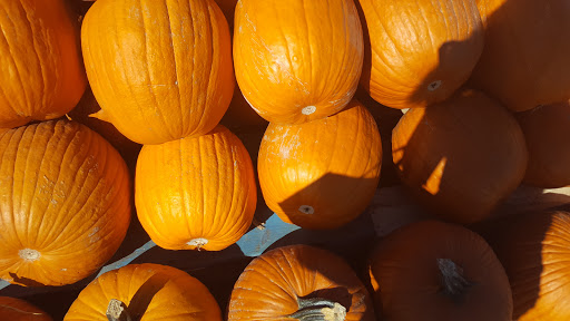 Produce Market «Tacoma Boys», reviews and photos, 5602 6th Ave, Tacoma, WA 98406, USA