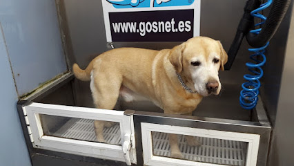 Gosnet - Servicios para mascota en Barcelona