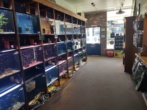 Tropical Fish Store «Aquarium Co-Op», reviews and photos, 9661 Firdale Ave, Edmonds, WA 98020, USA