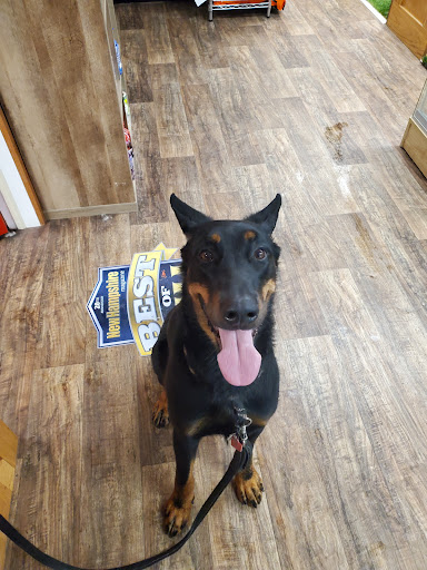 Pet Supply Store «Pet Supply Outlet», reviews and photos, 150 Spaulding Tpke, Portsmouth, NH 03801, USA