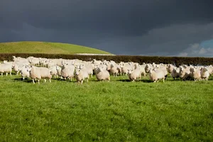 Newgrange Farm and Coffee Shop image