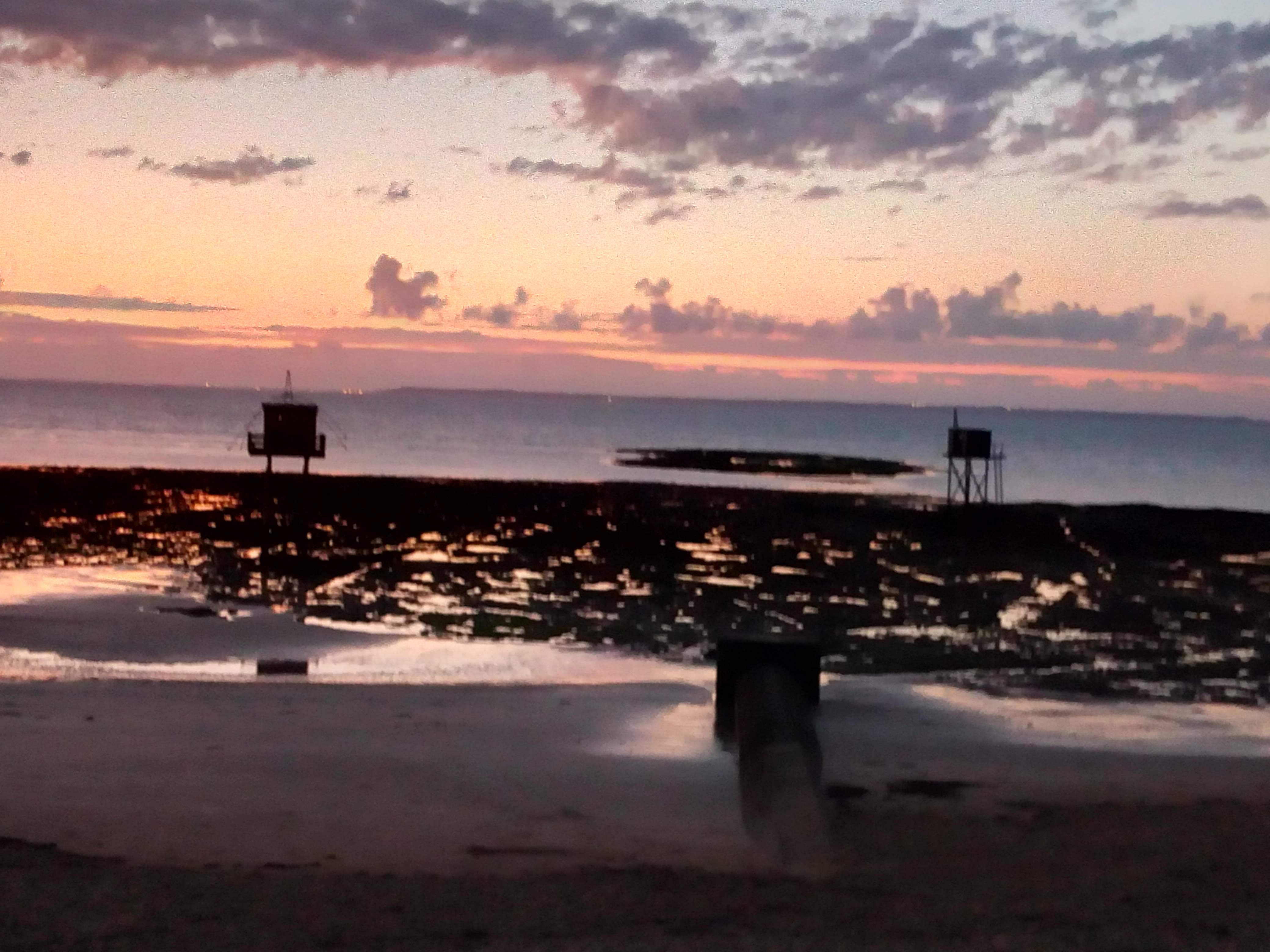 Photo n° 31 de l'avis de Mick53.i fait le 21/08/2019 à 20:02