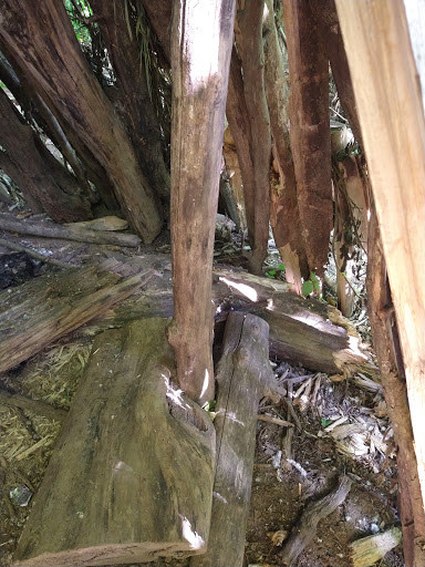 Park «Meldrum Bar Park», reviews and photos, 19 Meldrum Bar Park Rd, Gladstone, OR 97027, USA