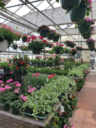 Garden Center «Sixteen Acres Garden Center», reviews and photos, 1359 Wilbraham Rd, Springfield, MA 01119, USA