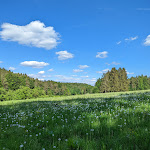 Photo n°2 de l'avis de Stepkes.o fait le 23/05/2022 à 19:23 sur le  Res'n Bauernhof - Café, Restaurant, Direktvermarkung à Etzelwang